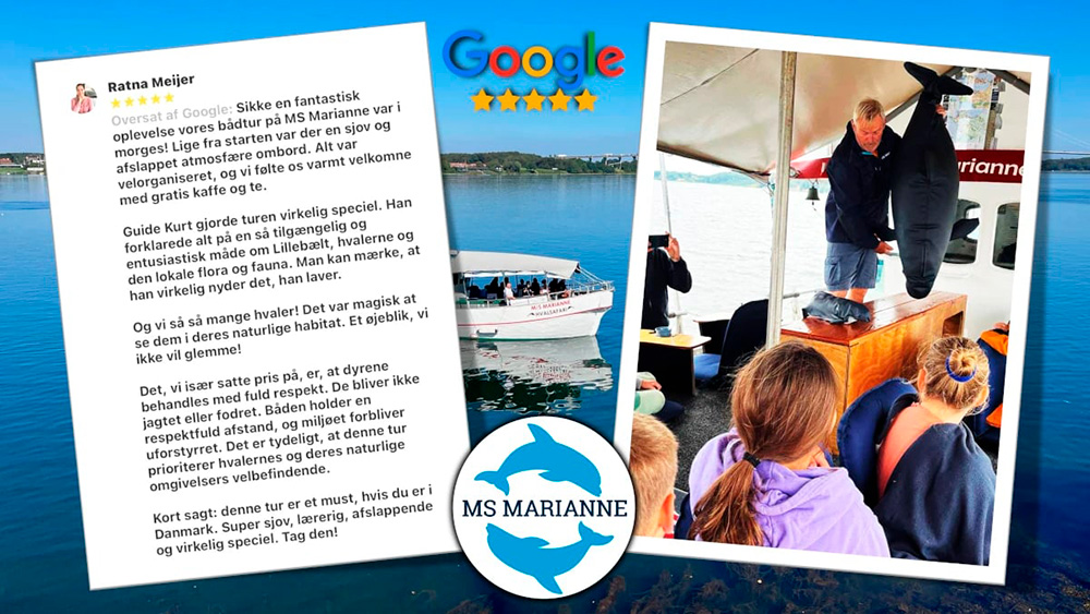 Google anmeldelser